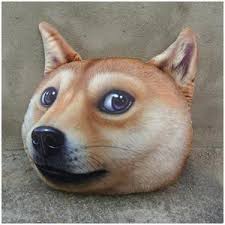 3D Doge Meme Pillow Pillow